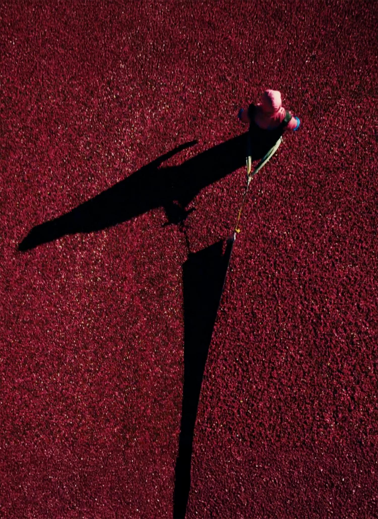 Canada's Strength - Natural Scale & Abundance Canada's Strength - Natural Scale & Abundance