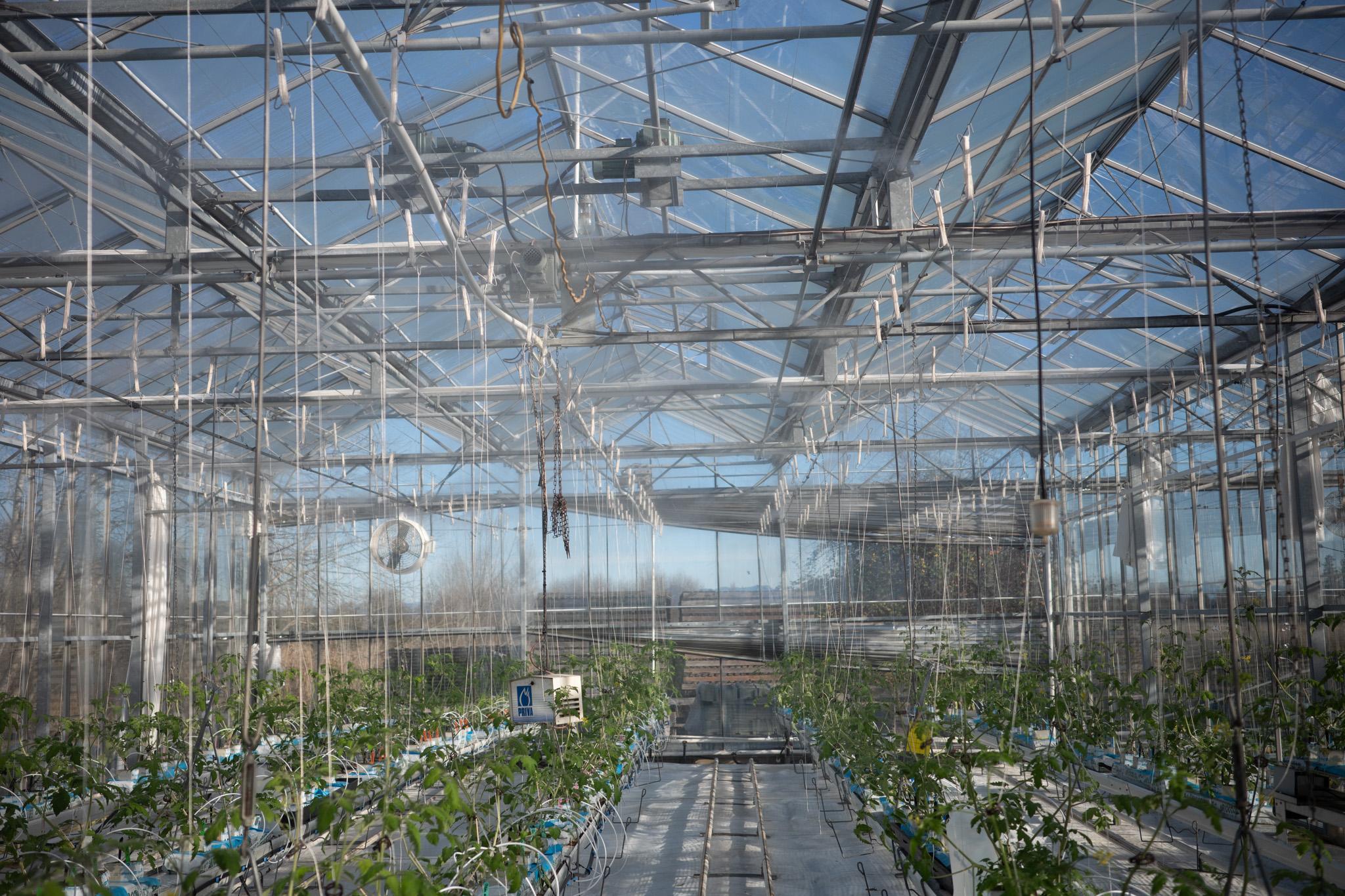 Canada's Strength - Innovation & Ingenuity Canada's Strength - Innovation & Ingenuity