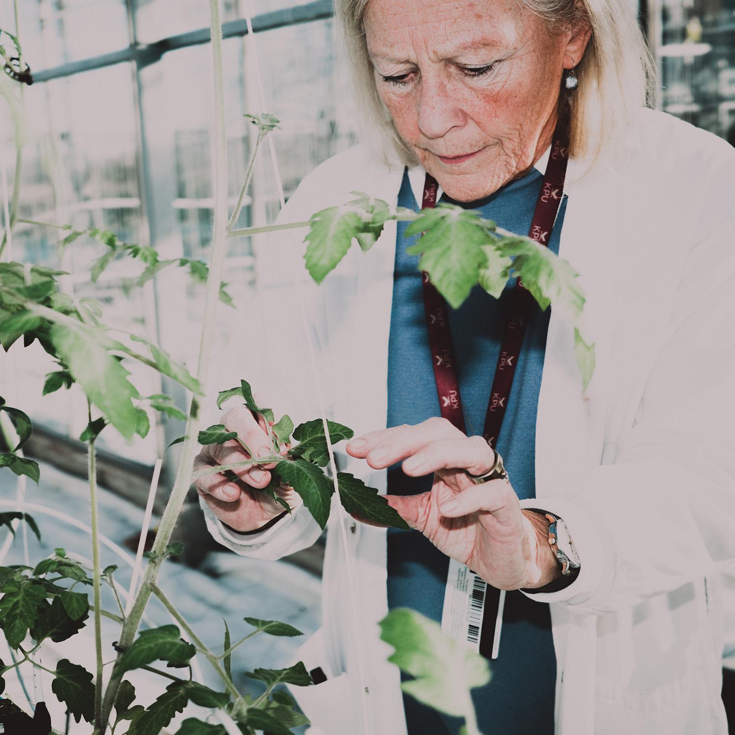 Across Canada Voices are Rising - Horticulture Across Canada Voices are Rising - Horticulture