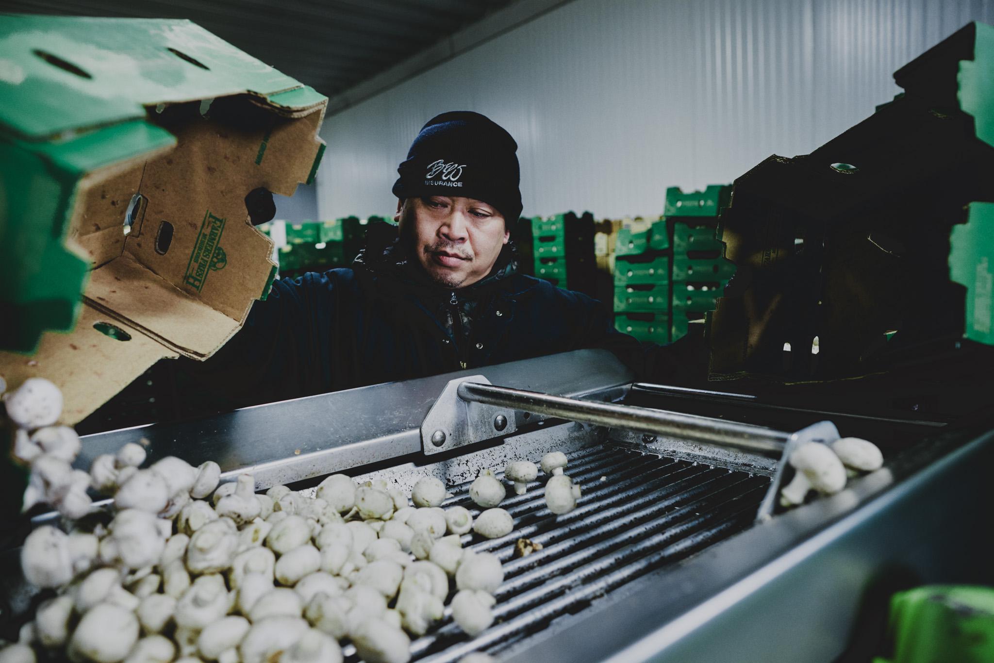 Canada's Strength - Sustainability & Stewardship Canada's Strength - Sustainability & Stewardship