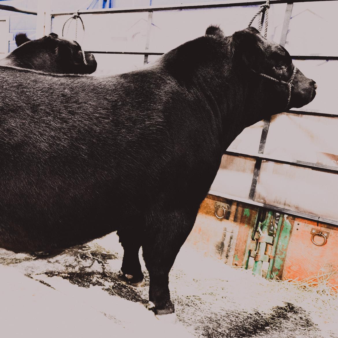 Canada's Strength - Global Performance & Potential Canada's Strength - Global Performance & Potential